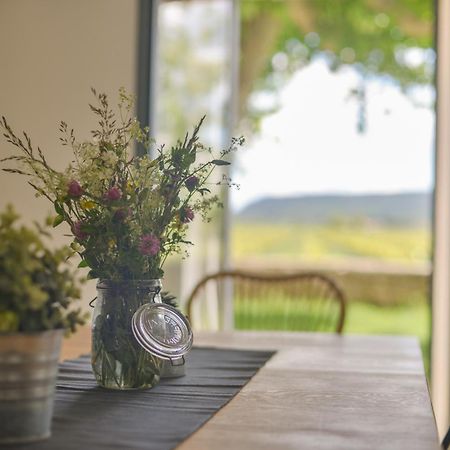 Domaine De Sevanes Saint-Paul-les-Fonts Екстериор снимка