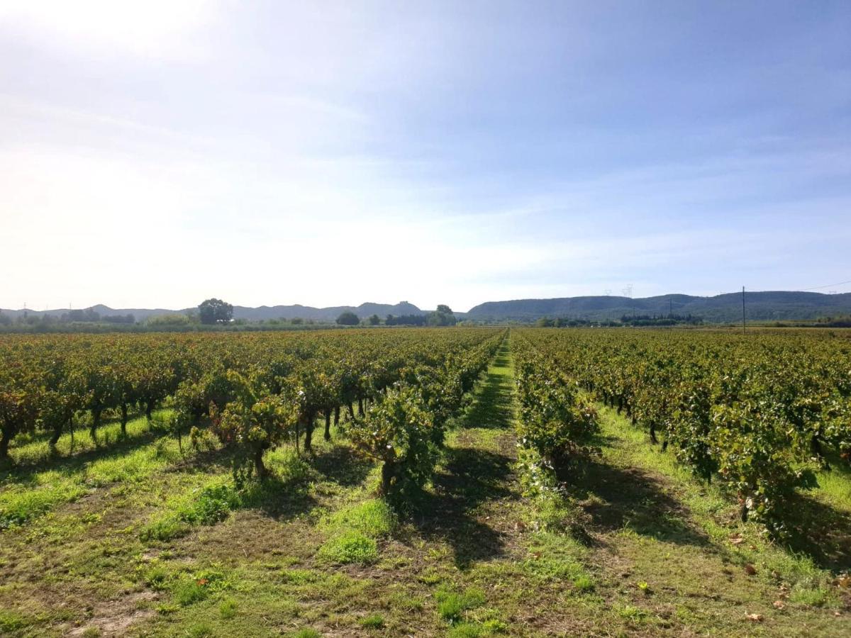 Domaine De Sevanes Saint-Paul-les-Fonts Екстериор снимка