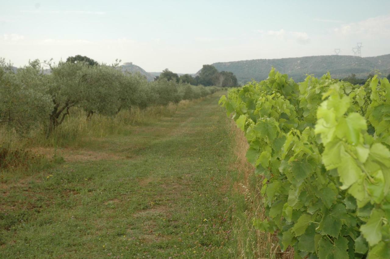 Domaine De Sevanes Saint-Paul-les-Fonts Екстериор снимка